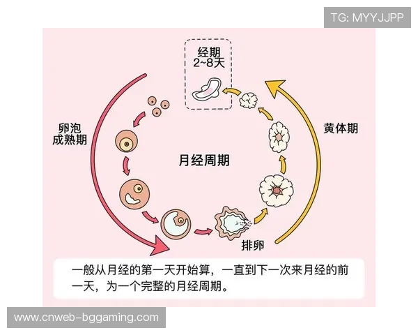 运动生理数据建模技术突破 个性化处方生成加速