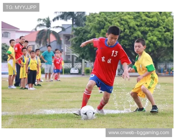 退役球星谈青训体系重要性,呼吁加强基层教练培养 退役球星谈青训体系重要性,呼吁加强基层教练培养